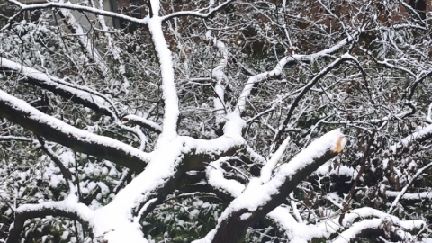 10月26日内蒙古山西天气 内蒙古局地暴雪山西将有雨雪